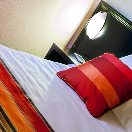 Saint Sauveur 호텔 루르드